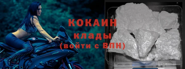 крисы Магадан